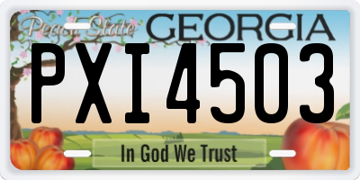 GA license plate PXI4503