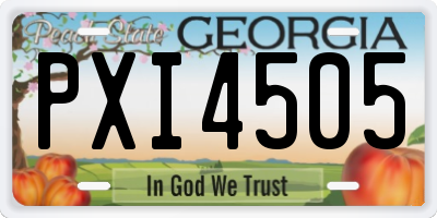 GA license plate PXI4505