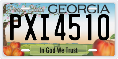 GA license plate PXI4510