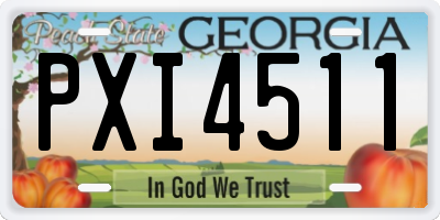GA license plate PXI4511