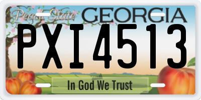 GA license plate PXI4513