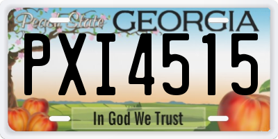 GA license plate PXI4515