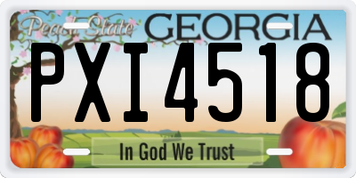 GA license plate PXI4518