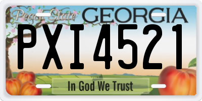 GA license plate PXI4521