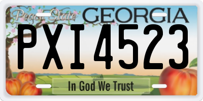 GA license plate PXI4523
