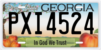 GA license plate PXI4524