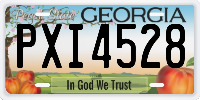 GA license plate PXI4528
