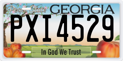GA license plate PXI4529