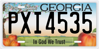 GA license plate PXI4535