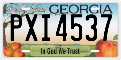GA license plate PXI4537