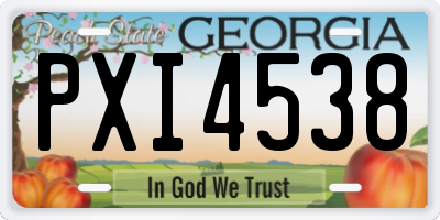 GA license plate PXI4538