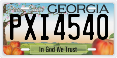 GA license plate PXI4540