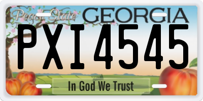 GA license plate PXI4545