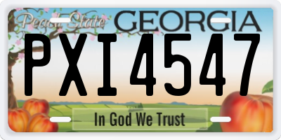 GA license plate PXI4547