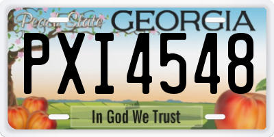 GA license plate PXI4548