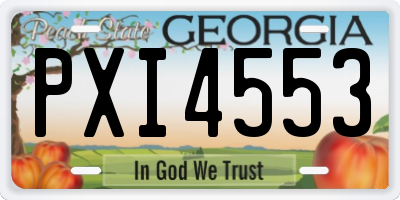 GA license plate PXI4553