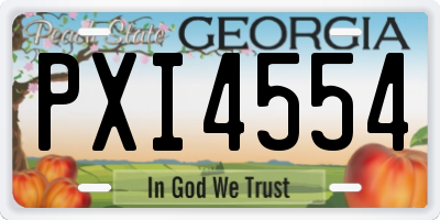 GA license plate PXI4554