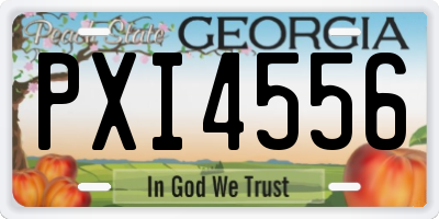 GA license plate PXI4556