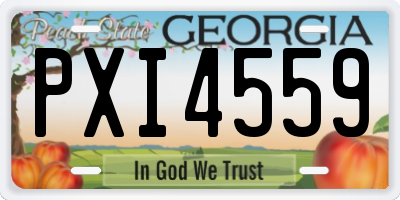 GA license plate PXI4559