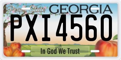 GA license plate PXI4560