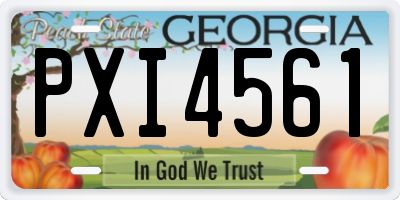 GA license plate PXI4561