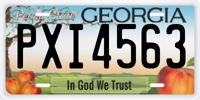 GA license plate PXI4563