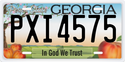 GA license plate PXI4575