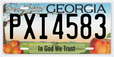 GA license plate PXI4583