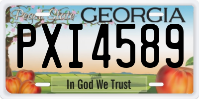 GA license plate PXI4589
