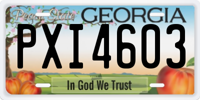 GA license plate PXI4603