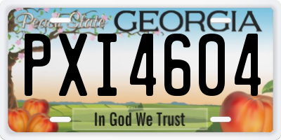GA license plate PXI4604