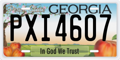 GA license plate PXI4607