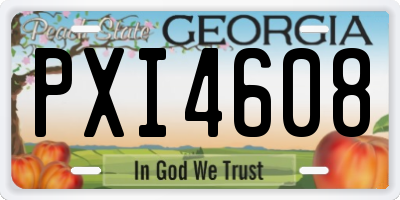 GA license plate PXI4608