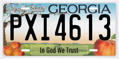 GA license plate PXI4613
