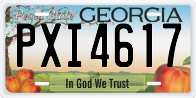 GA license plate PXI4617