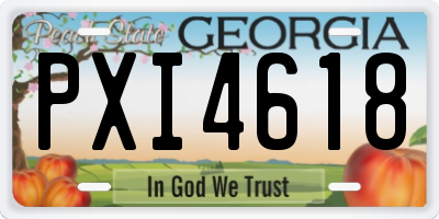 GA license plate PXI4618
