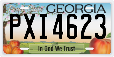 GA license plate PXI4623