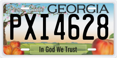 GA license plate PXI4628