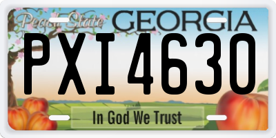 GA license plate PXI4630