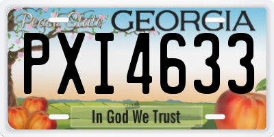 GA license plate PXI4633