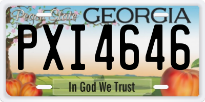 GA license plate PXI4646