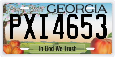 GA license plate PXI4653