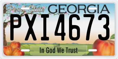 GA license plate PXI4673