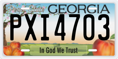 GA license plate PXI4703