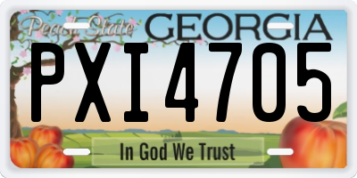 GA license plate PXI4705