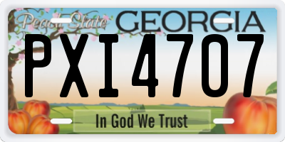 GA license plate PXI4707