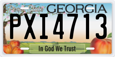 GA license plate PXI4713