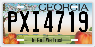 GA license plate PXI4719