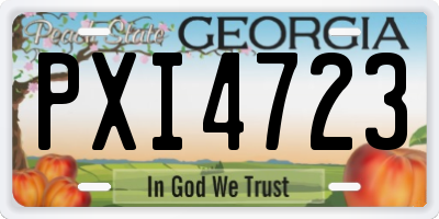 GA license plate PXI4723