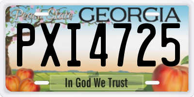 GA license plate PXI4725